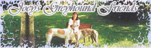Joeay's Greyhoundfriends, Florida